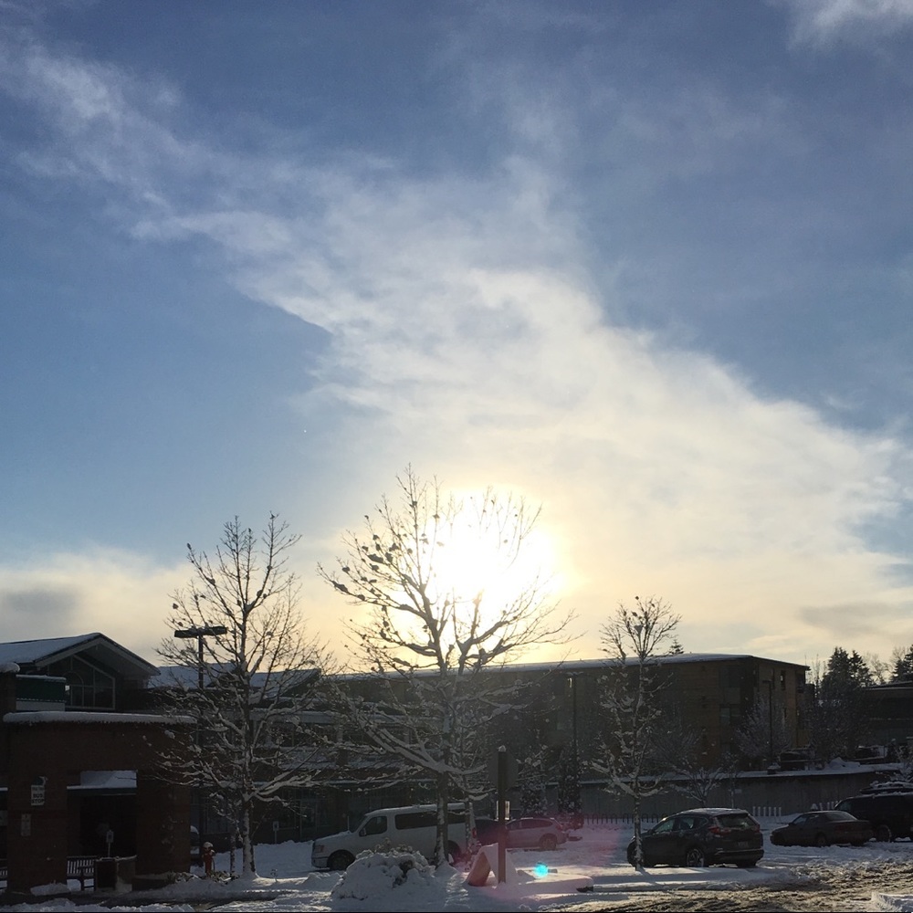 Meet your Posher, Ghadir